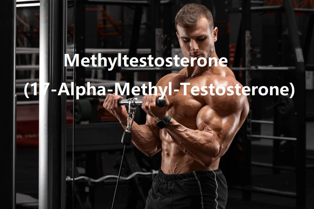 Methyltestosteron Methyltestosteron