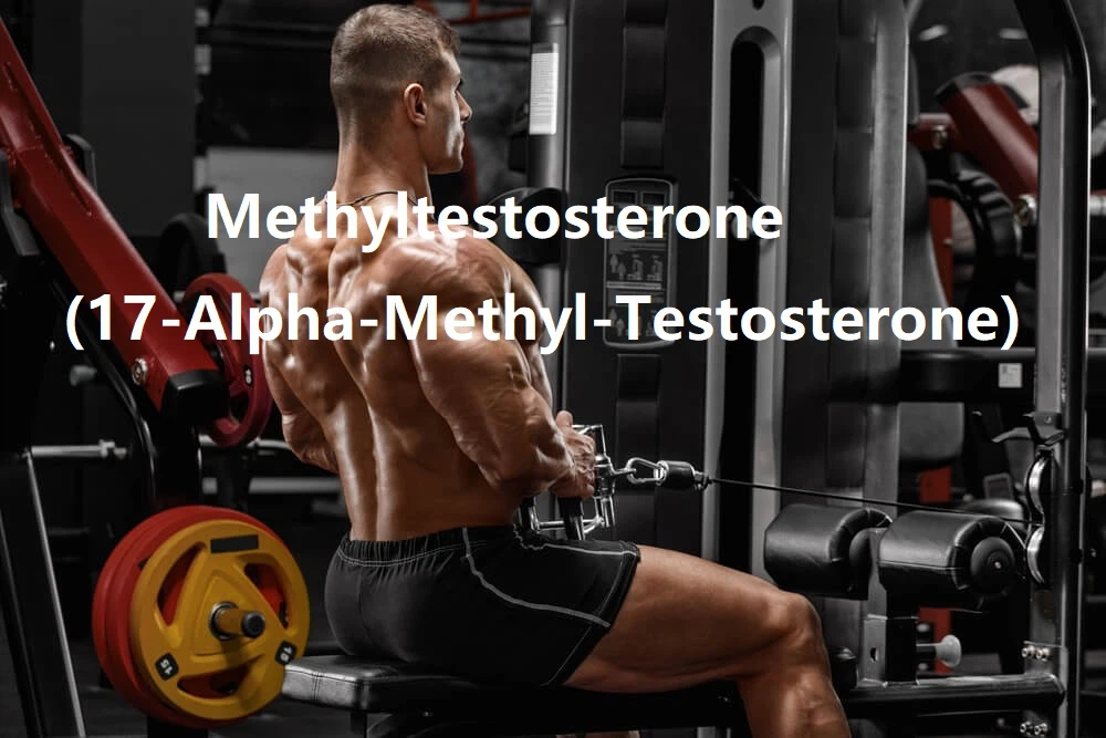 Methyltestosteron-Was-ist-das Methyltestosteron-Was-ist-das