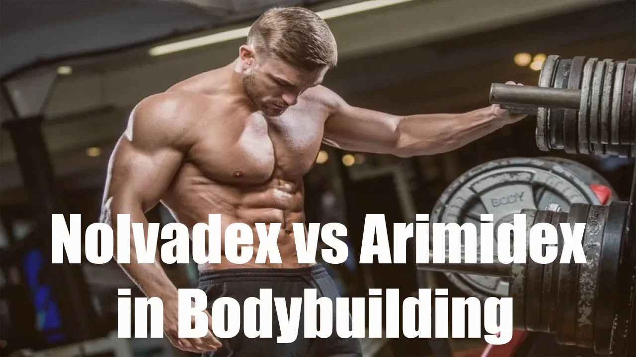 Nolvadex-vs-Arimidex-in-Bodybuilding Nolvadex-vs-Arimidex-in-Bodybuilding