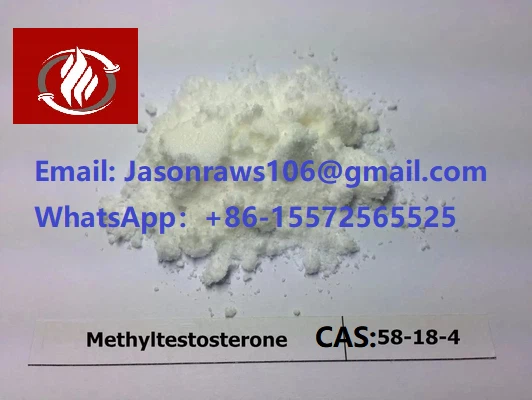 Methyltestosterone(17α-Methyltestosterone ) Powder For Bodybuilding CAS:58-18-4