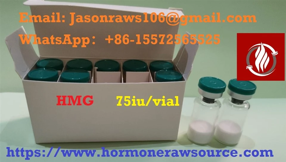 Human Menopausal Gonadotropin(HMG)For Bodybuilding CAS:61489-71-2