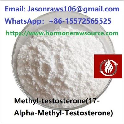 Methyltestosterone(17-Alpha-MethylTestosterone)Steroid Powder For Bodybuilding CAS:58-18-4