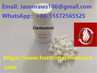 BNP Clenbuterol For Bodybuilding CAS:37148-27-9