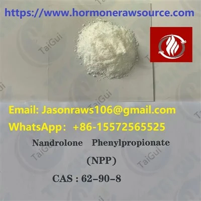 Nandrolone Phenylpropionate(Durabolin)Steroids Powder For Bodybuilding CAS:62-90-8