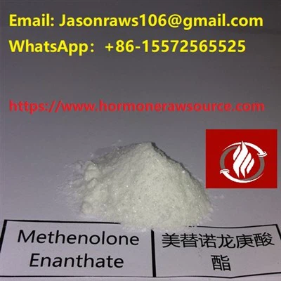 Superior Quality Methenolone Enanthate Powder For Bodybuilding CAS:303-42-4