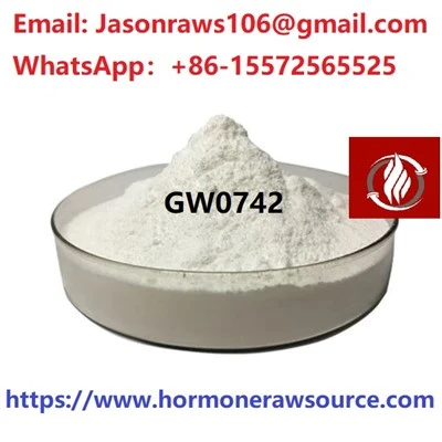 Superior Quality GW0742 Powder For Bodybuilding CAS:317318-84-6