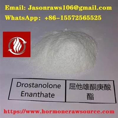Top-Quality Drostanolone Enanthate Powder For Bodybuilding CAS:13425-31-5