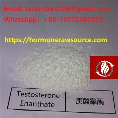 Top-Quality Testosterone Enanthate Powder For Bodybuilding CAS:315-37-7