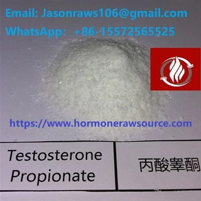 Top-Quality Testosterone Propionate Powder For Bodybuilding CAS:57-85-2