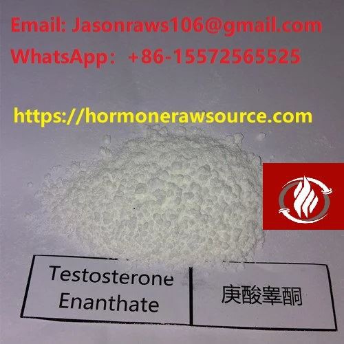 STROMUSC Superior Quality TE(Testosterone Enanthate)Powder For Bodybuilding CAS:315-37-7