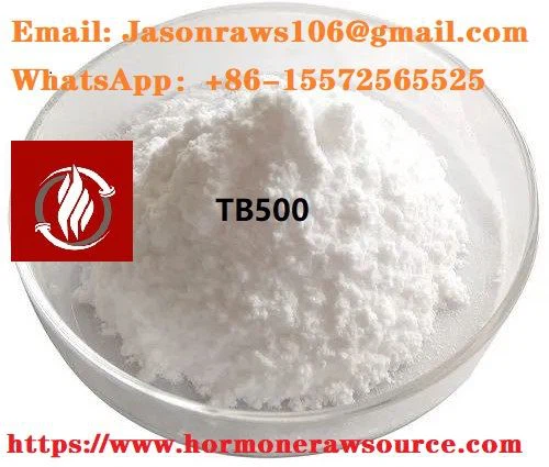 Superior Quality TB500 Peptides Powder For Bodybuilding CAS:77591-33-4