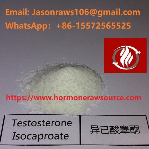 Superior Quality Testosterone Isocaproate Powder For Bodybuilding CAS:15262-86-9