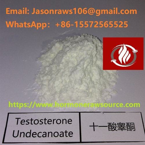 Superior Quality Testosterone Undecanoate Powder For Bodybuilding CAS:5949-44-0