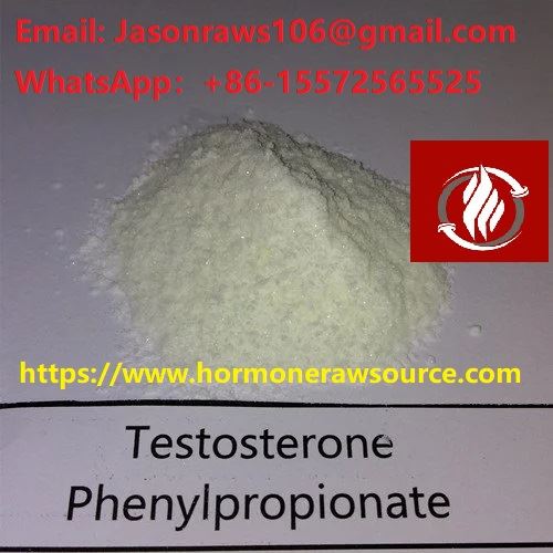 Top-Quality Testosterone Phenylpropionate Powder For Bodybuilding CAS:1255-49-8
